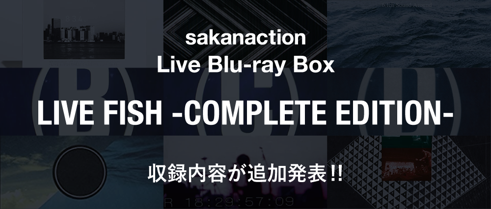 SAKANACTION official website｜NF member
