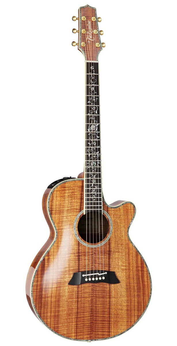 楽天市場】Takamine 500シリーズ DMP500VTS (gloss)《アコースティック