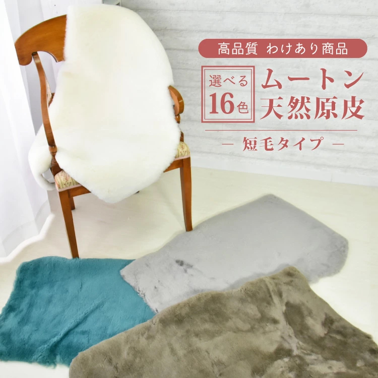 数量限定 アウトレット 短毛 ムートンラグ 1匹 スプリングラム 原皮