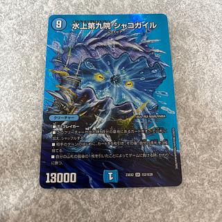 シャコガイル b」の激安通販 | magi
