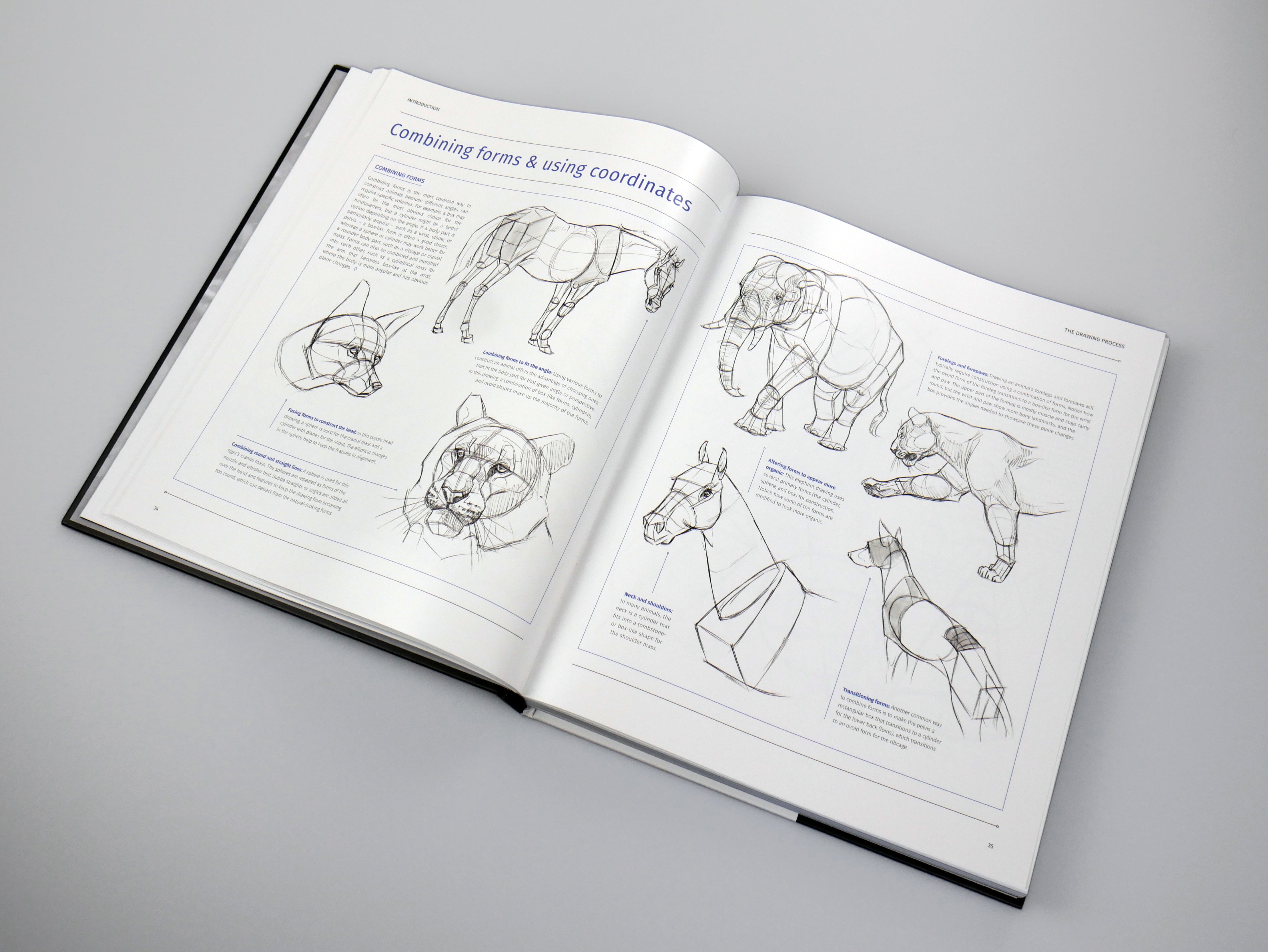 Animal Anatomy for Artists: A visual guide to the animal form