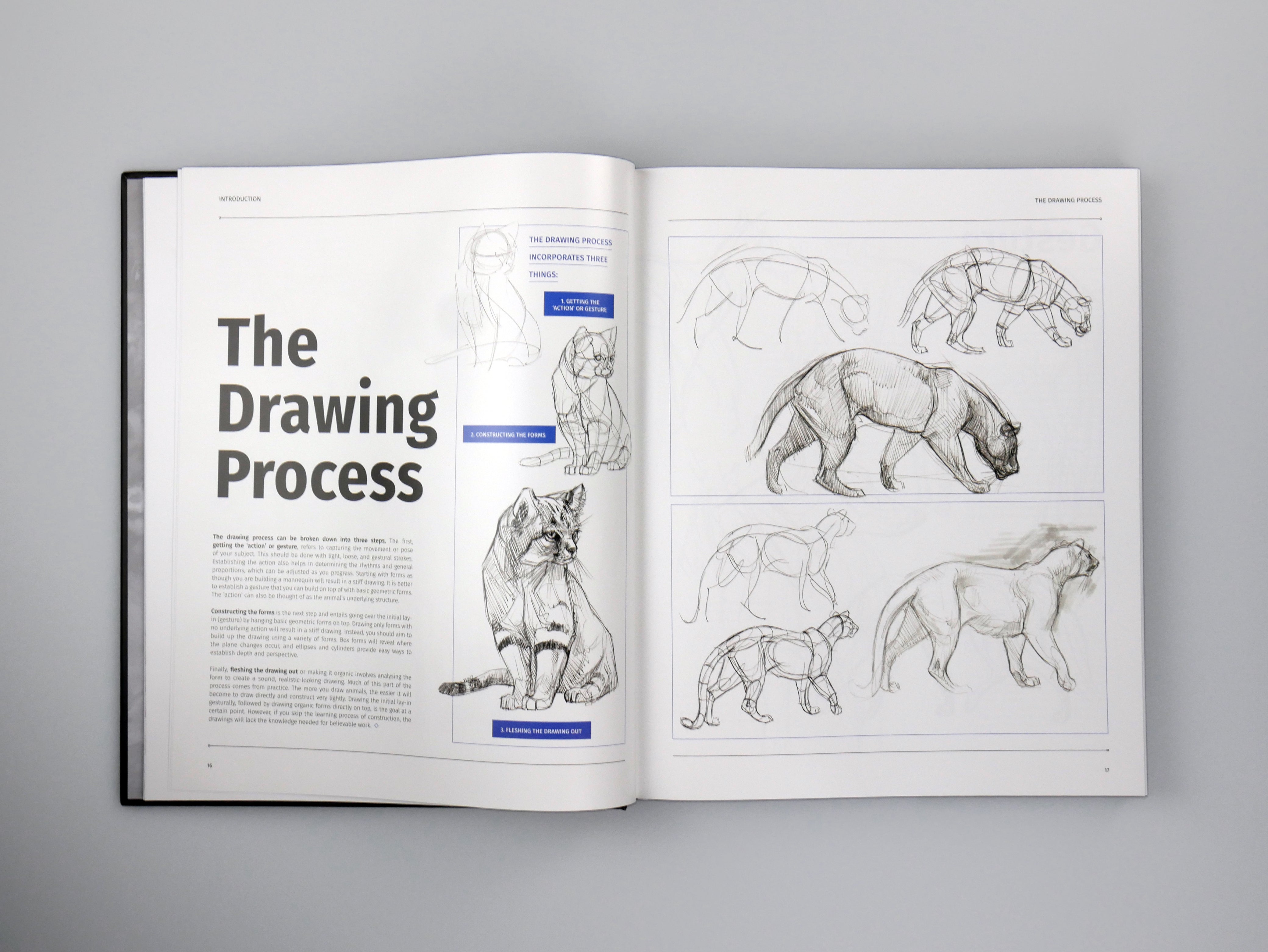 Animal Anatomy for Artists: A visual guide to the animal form