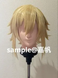 2026年最新】卯月コウ コスプレの人気アイテム - メルカリ