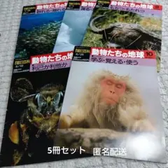 2026年最新】朝日百科 動物の人気アイテム - メルカリ