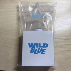 2026年最新】WILDBLUE ペンライトの人気アイテム - メルカリ