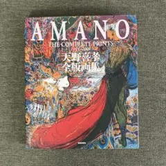 天野喜孝 全版画集」AMANO THE COMPLETE PRINTS - メルカリ