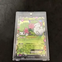 2026年最新】シェイミEX 212/xy-pの人気アイテム - メルカリ