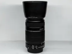 2026年最新】EF-S55-250mm F4-5.6 ISの人気アイテム - メルカリ