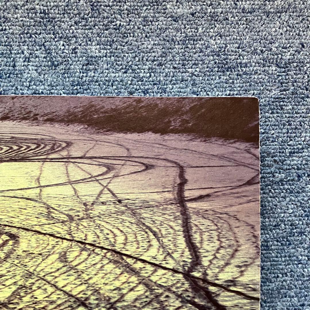 志賀理江子 『螺旋海岸』 サイン入 展覧会フライヤー 付 lieko shigaの