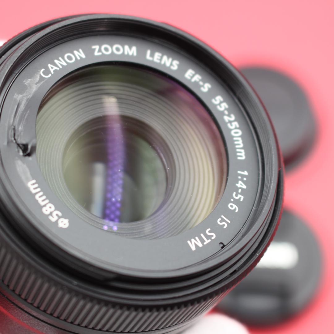 ❤️Canon 55-250mm IS STM❤️動画撮影も滑らか❤️ ❤️Canon 55-250mm IS STM❤️動画撮影も滑らか❤️ 【公式通販】