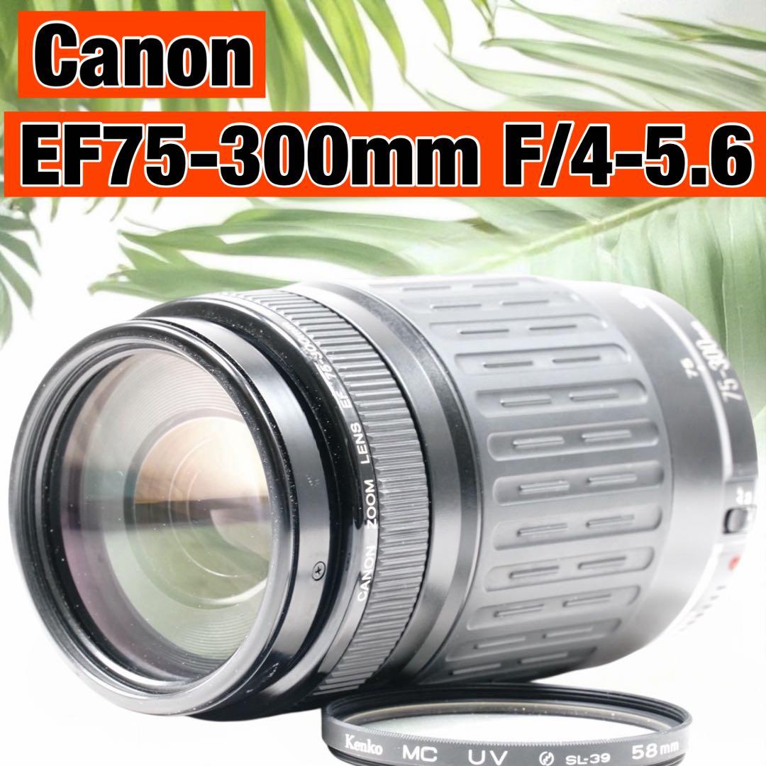 美品✨Canon EF 75-300mm F4-5.6 CANON EF 75-300mm f/4-5.6 III: DSLR Camera Lens, Compatible with