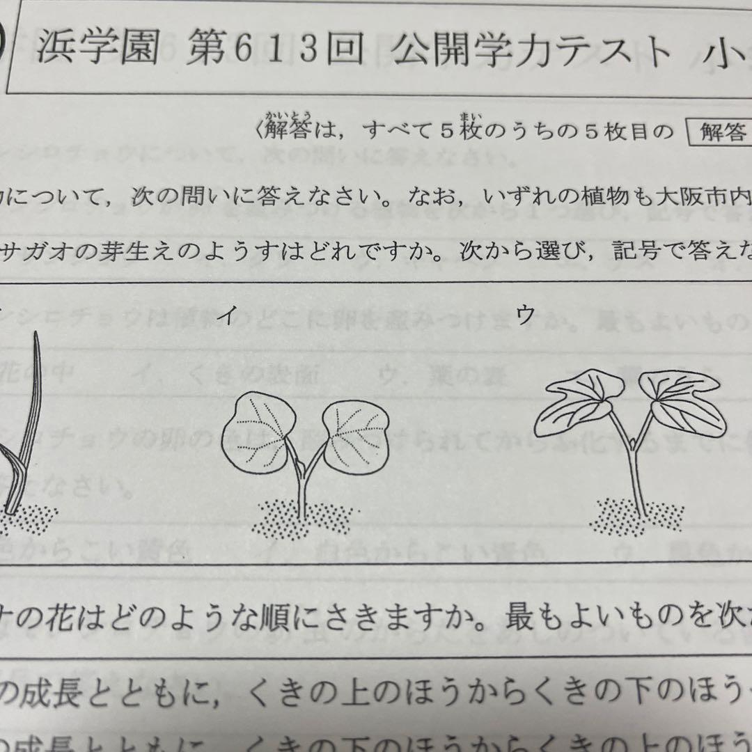 2024年度 浜学園小5 公開学力テスト 理科1年分 - メルカリ