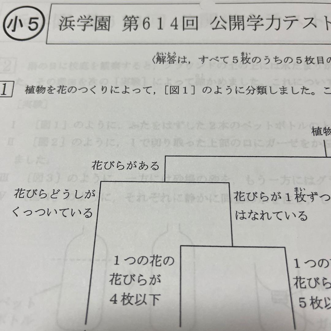 2024年度 浜学園小5 公開学力テスト 理科1年分 - メルカリ