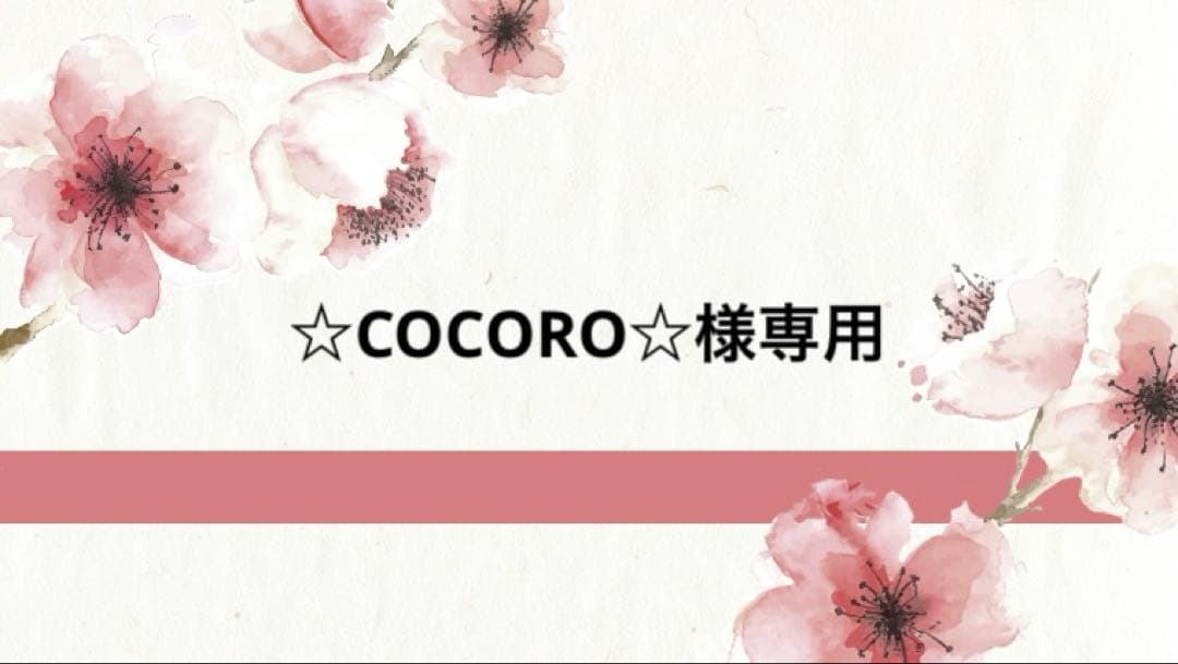 ☆COCORO☆ Zico Pure Nam Hom Coconut Water Organic 28fz - 28 FZ - andronicos