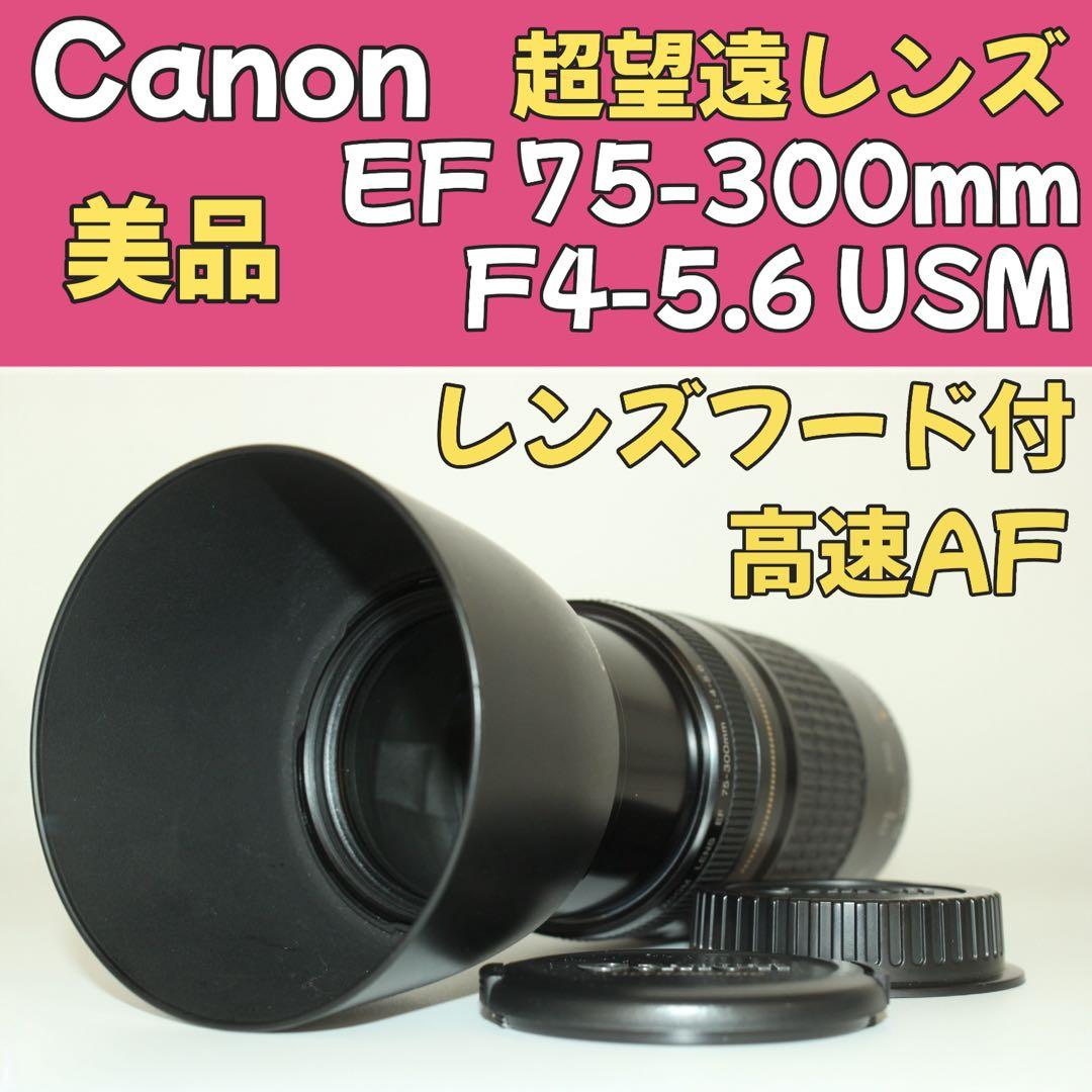 Canon EF 75-300mm F4-5.6 USM✨超望遠✨ EF75-300mm F4-5.6 II USMとともに描く美しい瞬間 - 魅惑の中望遠