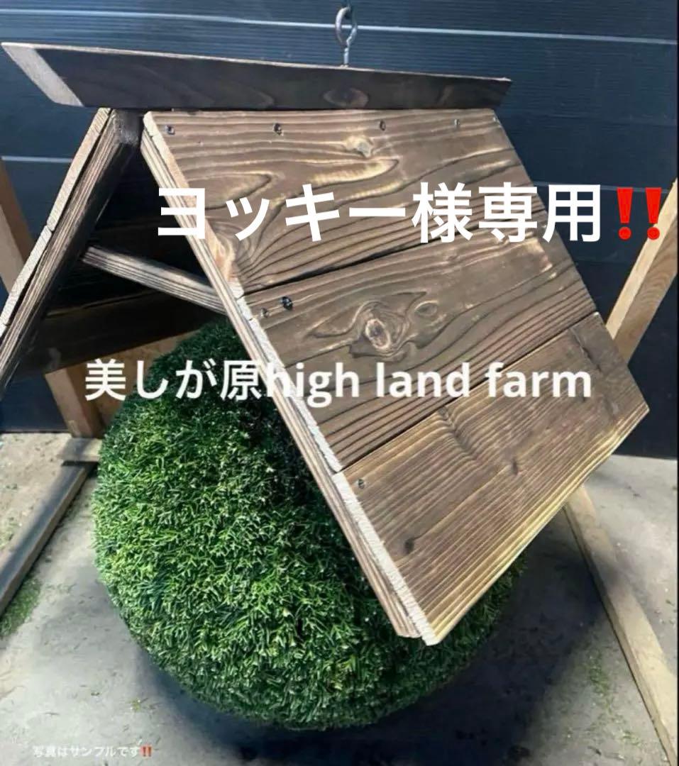 杉玉　約40センチ屋根付き‼️お客様ご注文品♪ 杉玉 中玉 （約40cm） | 楠玉屋