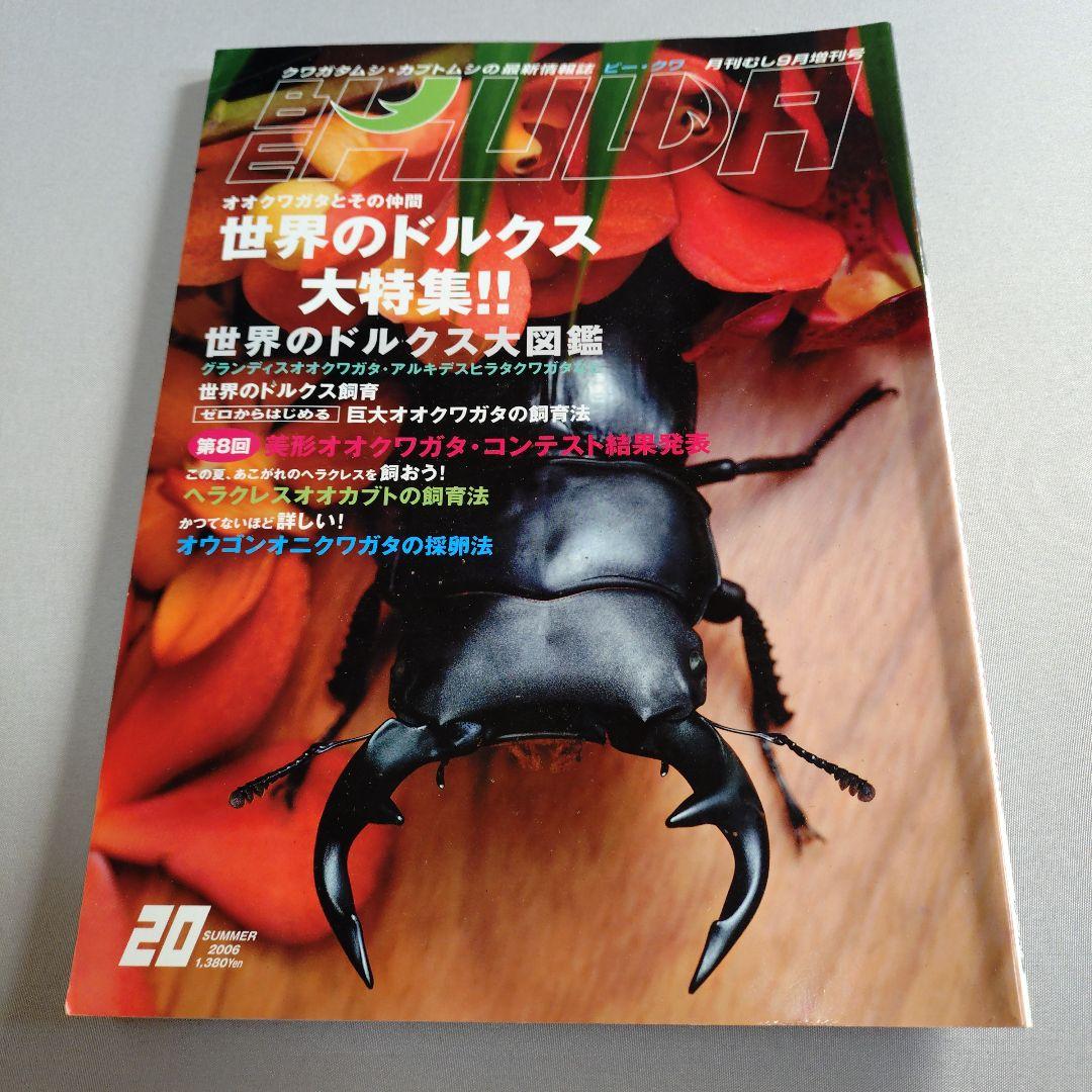BEKUWA ビークワ20-21、25、28-29　5冊 BEKUWA ビークワ20-21、25、28-29 5冊 - メルカリ