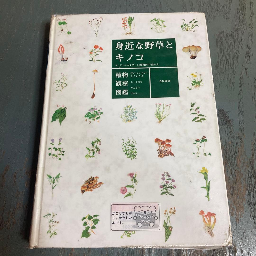 身近な野草とキノコ : 花のつくりがよくわかる植物観察図鑑 旺文社 松原巌樹 花のつくりとしくみ観察図鑑 (5) | 松原 巖樹 |本 | 通販 | Amazon