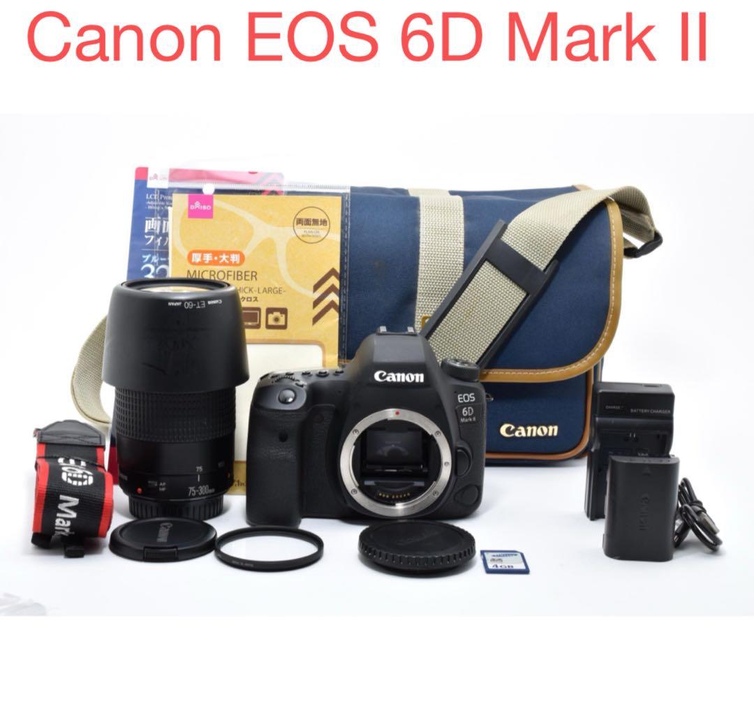 デジタルカメラ Canon EOS 6D Mark II / Canon EF75-300mm Amazon.com : Canon EOS 6D Mark II with EF 24-105mm IS STM Lens