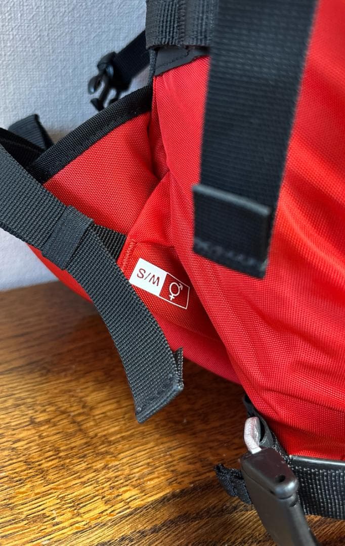 SALOMON MTN 15 / BC スキー・スノーボード バッグ