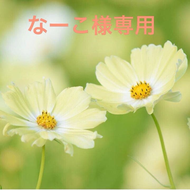 なーこ