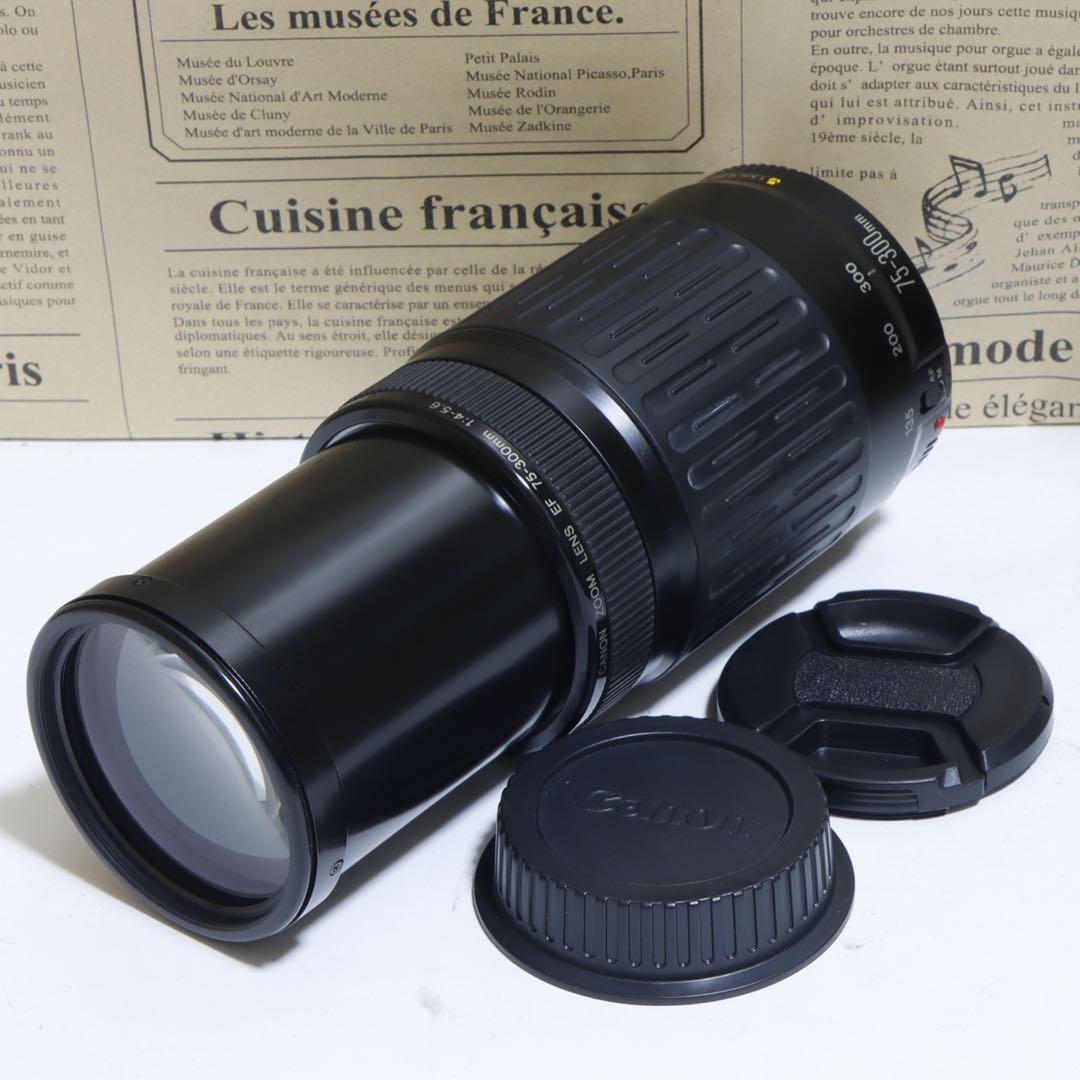 ◇大迫力300mm超望遠!!◇Canon純正 75-300mm 超望遠レンズ◇ ◇ 大迫力300mm超望遠 ◇Canon純正 75-300mm II型 ◇ - メルカリ