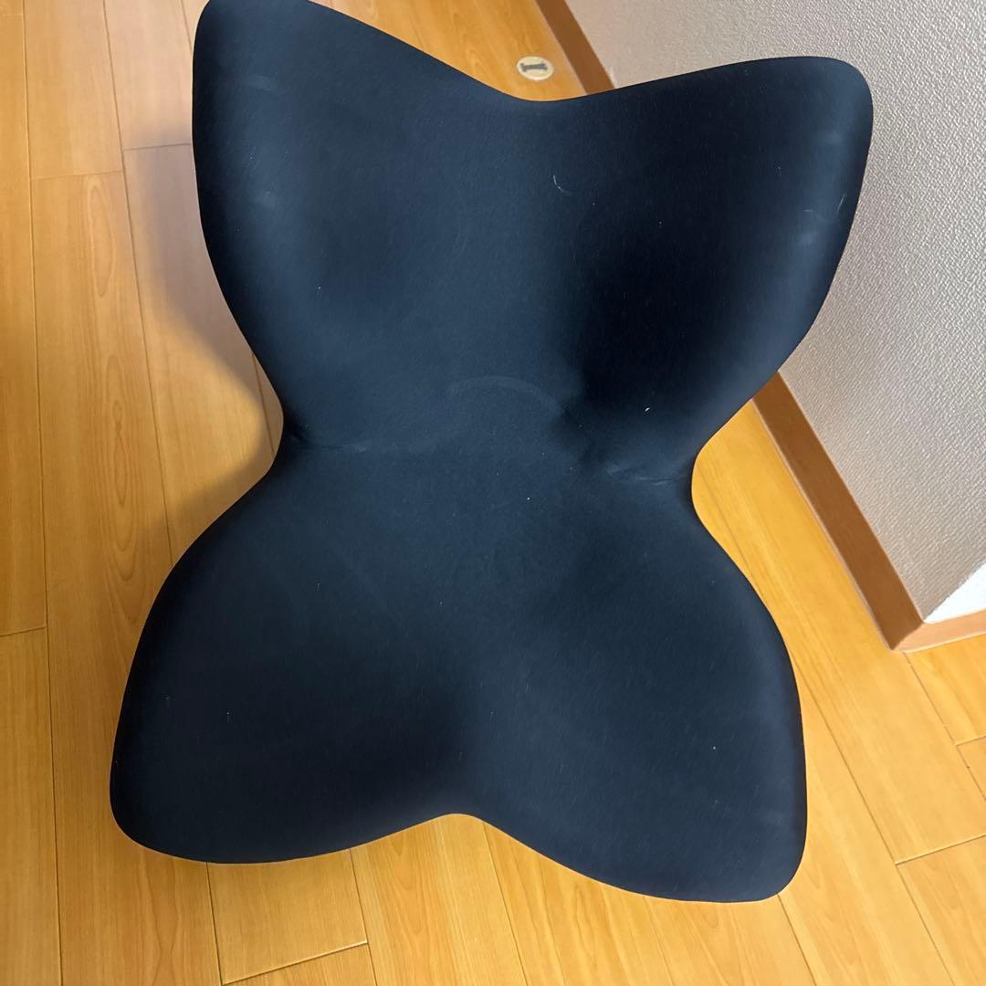 MTG Style プレミアム　姿勢矯正クッション ブラック MTG 骨盤矯正クッション 黒（スタイルプレミアム） Style（スタイル