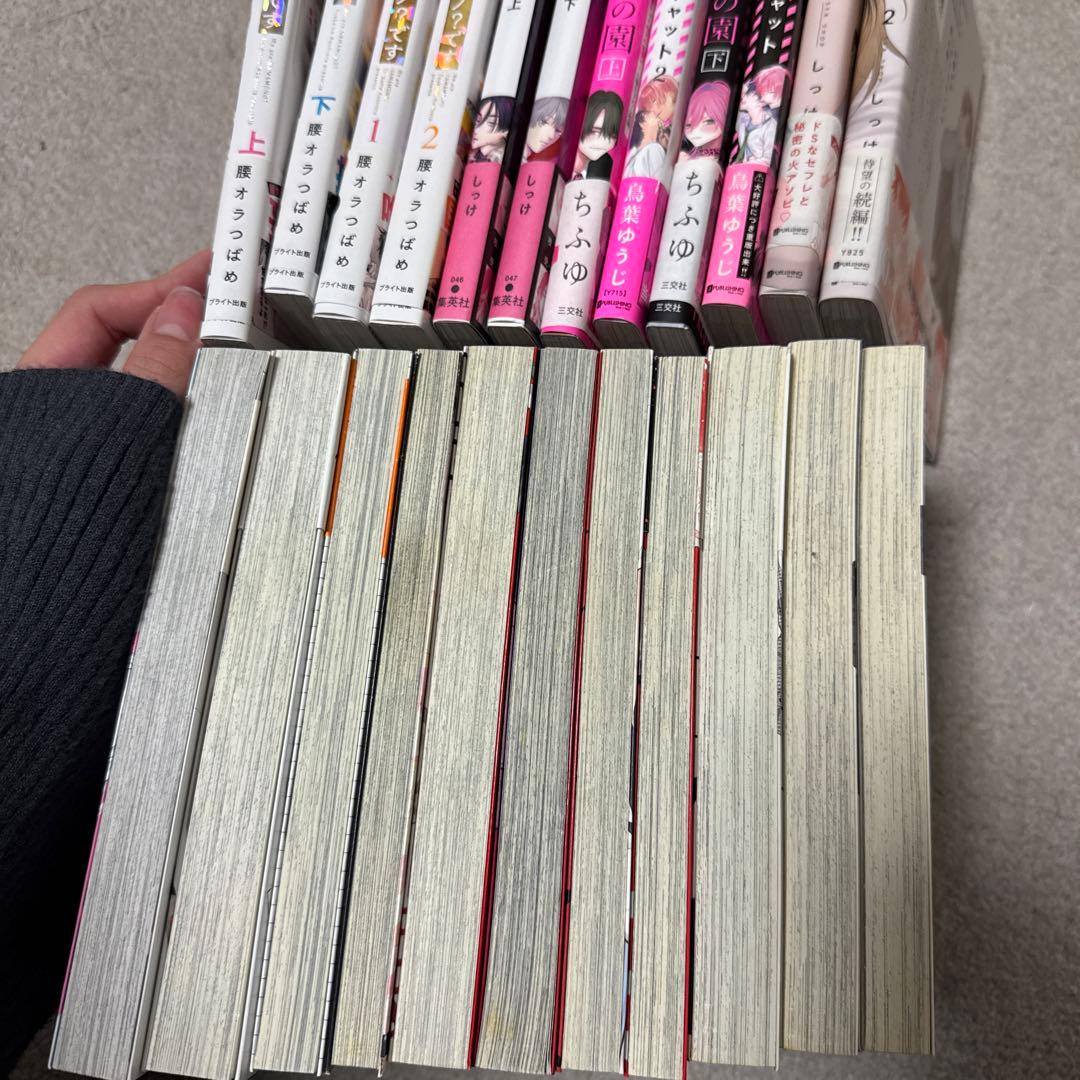 BL漫画まとめ売り 23冊 - メルカリ