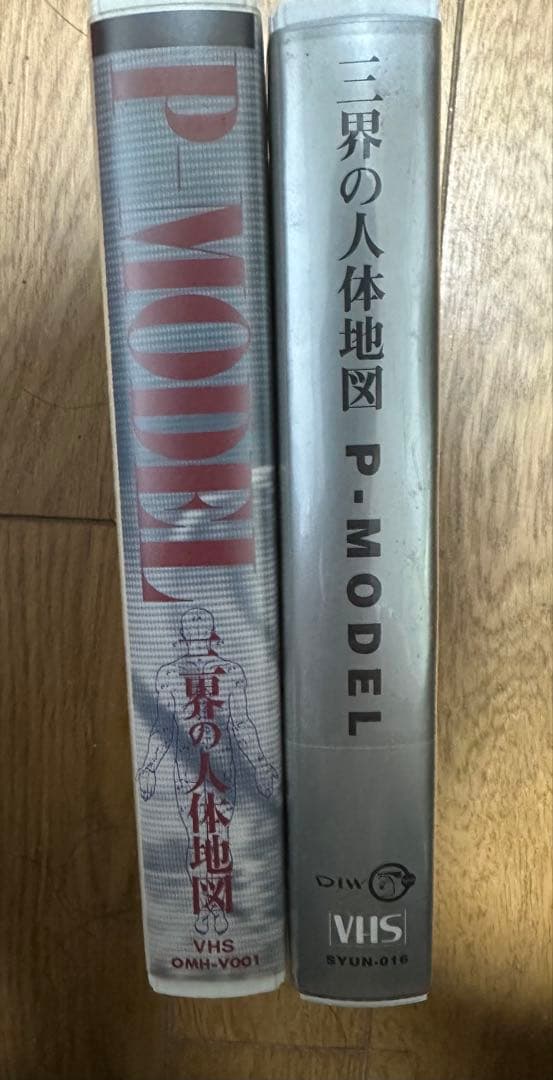 P-MODEL 三界の人体地図 VHS - メルカリ