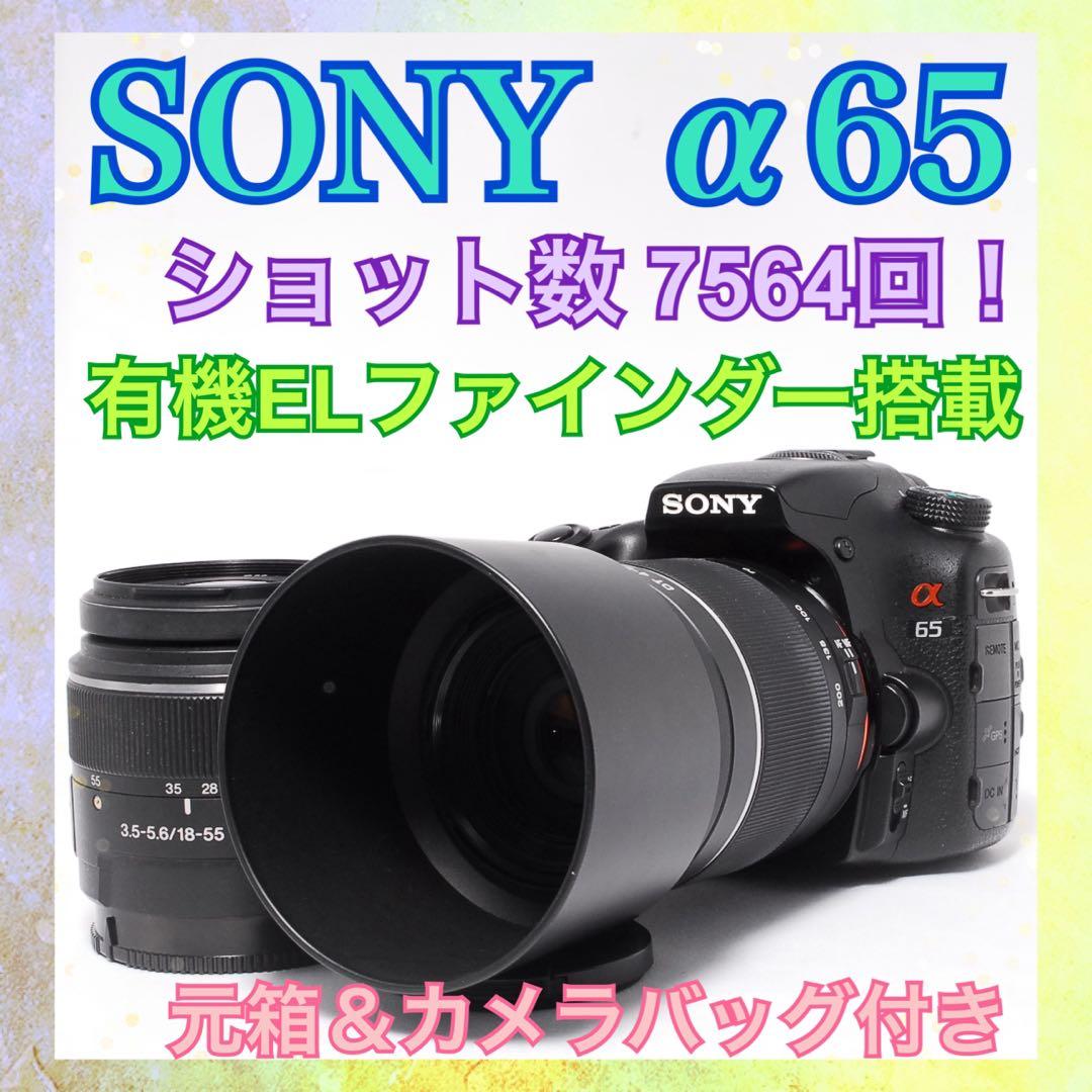 元箱＆カメラバッグ付き◆SONY α65◆ショット数少なめ◆一眼レフカメラ◆美品 2026年最新】sony α65の人気アイテム - メルカリ