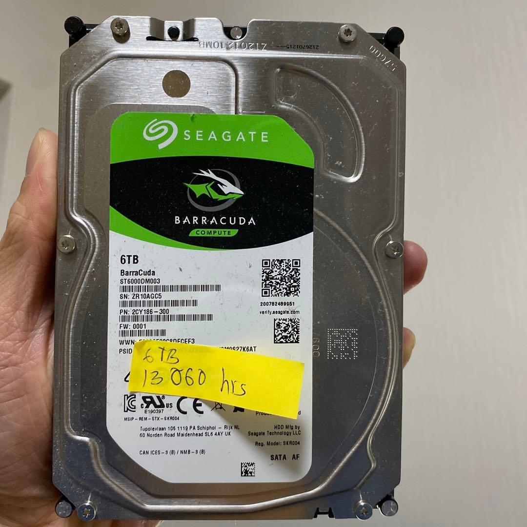 動作確認済 SEAGATE ST6000DM003 6TB HDD 1台セット ST6000DM003 内蔵HDD SATA接続 BarraCuda3.5(キャッシュ256MB) [6TB